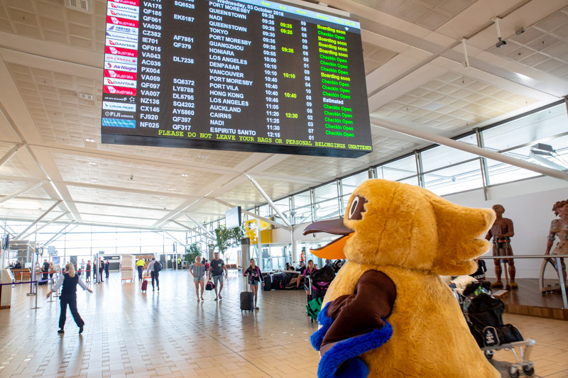 Bluey checking the flight schedule