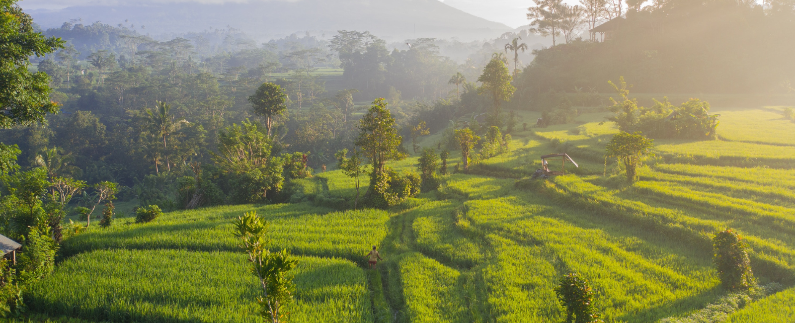 Sidemen, East Bali