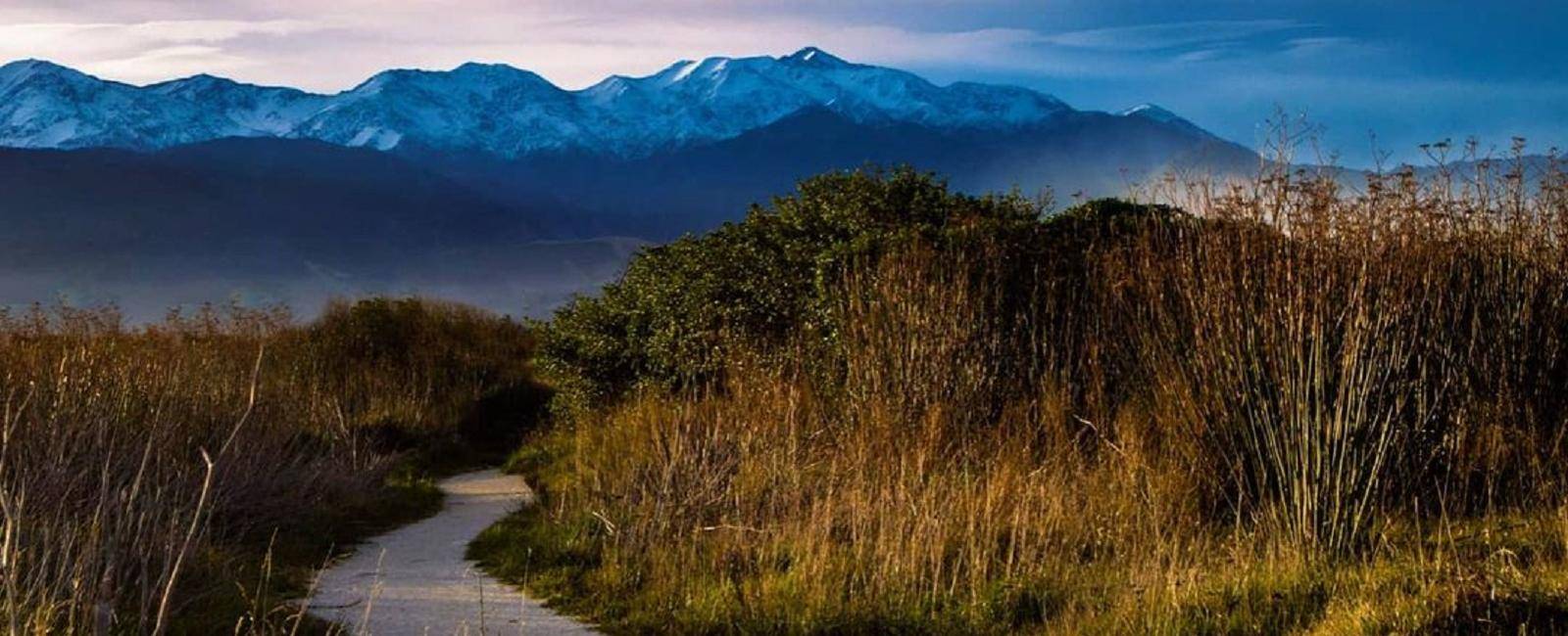 Kaikoura Walking Track